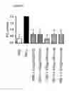 Fig. 12 - ANTIGEN-BINDING POLYPEPTIDES AGAINST CARTILAGE DEGENERATION
