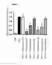 Fig. 13 - ANTIGEN-BINDING POLYPEPTIDES AGAINST CARTILAGE DEGENERATION