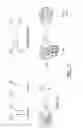 Fig. 05 - Activated T Cells
