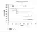 Fig. 09 - Activated T Cells