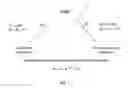 Fig. 04 - BISPECIFIC ANTIBODIES THAT BIND TO COMPLEMENT PROTEINS