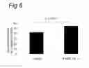 Fig. 07 - PATHWAYS INVOLVED IN ARTERIOGENESIS AND USES THEREOF