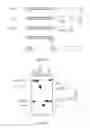 Fig. 26 - Antibodies that specifically bind hedgehog-derived polypeptides