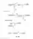 Fig. 37 - Antibodies that specifically bind hedgehog-derived polypeptides