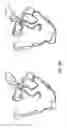 Fig. 45 - Antibodies that specifically bind hedgehog-derived polypeptides