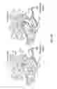 Fig. 53 - Antibodies that specifically bind hedgehog-derived polypeptides