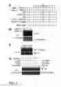 Fig. 02 - Compositions and Methods to Promote Neural Cell Growth