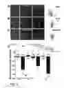 Fig. 03 - Compositions and Methods to Promote Neural Cell Growth