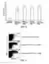 Fig. 08 - Ex vivo uses of immunostimulatory combinations