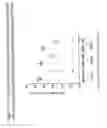 Fig. 14 - Alphavirus Vectors for Respiratory Pathogen Vaccines