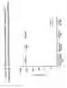 Fig. 17 - Alphavirus Vectors for Respiratory Pathogen Vaccines