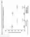 Fig. 20 - Alphavirus Vectors for Respiratory Pathogen Vaccines