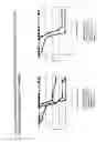 Fig. 22 - Alphavirus Vectors for Respiratory Pathogen Vaccines