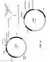 Fig. 11 - Immunogenic PcpA Polypeptides and Uses Thereof