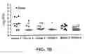 Fig. 13 - Immunogenic PcpA Polypeptides and Uses Thereof