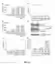 Fig. 09 - IMMUNOMODULATING COMPOUNDS AND RELATED COMPOSITIONS AND METHODS