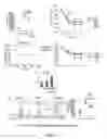Fig. 15 - IMMUNOMODULATING COMPOUNDS AND RELATED COMPOSITIONS AND METHODS