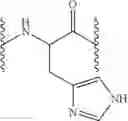 Fig. 04 - Cosmetic or pharmaceutical compositions comprising metalloproteinase inhibitors