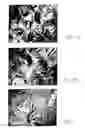 Fig. 04 - RANDOM AND NON-RANDOM ALKYLENE OXIDE POLYMER ALLOY COMPOSITIONS