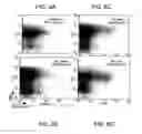 Fig. 07 - VACCINES USING NUCLEIC ACID-LIPID COMPLEXES