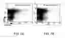 Fig. 08 - VACCINES USING NUCLEIC ACID-LIPID COMPLEXES