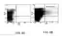 Fig. 09 - VACCINES USING NUCLEIC ACID-LIPID COMPLEXES