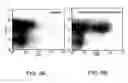 Fig. 10 - VACCINES USING NUCLEIC ACID-LIPID COMPLEXES
