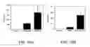 Fig. 13 - VACCINES USING NUCLEIC ACID-LIPID COMPLEXES