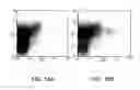 Fig. 19 - VACCINES USING NUCLEIC ACID-LIPID COMPLEXES
