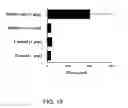 Fig. 20 - VACCINES USING NUCLEIC ACID-LIPID COMPLEXES