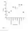 Fig. 09 - Normuramyl glycopeptide compounds