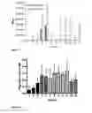 Fig. 11 - Normuramyl glycopeptide compounds