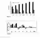 Fig. 16 - Normuramyl glycopeptide compounds