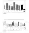 Fig. 17 - Normuramyl glycopeptide compounds