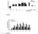 Fig. 19 - Normuramyl glycopeptide compounds