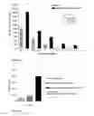 Fig. 21 - Normuramyl glycopeptide compounds