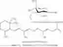 Fig. 28 - Normuramyl glycopeptide compounds