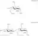 Fig. 58 - Normuramyl glycopeptide compounds