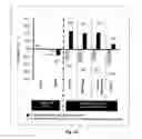 Fig. 07 - METHOD OF REGULATING THE TH17 PATHWAY AND ITS ASSOCIATED METABOLIC IMPACT