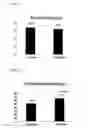 Fig. 07 - PHARMACEUTICAL COMPOSITION FOR THE TREATMENT AND PREVENTION OF CARDIAC DISEASE