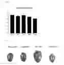 Fig. 09 - PHARMACEUTICAL COMPOSITION FOR THE TREATMENT AND PREVENTION OF CARDIAC DISEASE