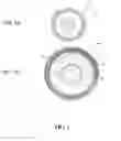 Fig. 02 - Methods of Treating PDNV and PONV with Extended Release Ondansetron Compositions