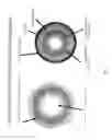 Fig. 02 - Orally disintegrating tablet compositions comprising combinations of non-opioid and opioid analgesics