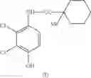 Fig. 32 - FUNGICIDAL ACTIVE COMPOUND COMBINATIONS