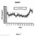 Fig. 07 - METHOD OF INCREASING METABOLISM