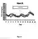 Fig. 09 - METHOD OF INCREASING METABOLISM