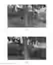 Fig. 02 - Low toxicity composition for promoting plant growth