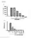Fig. 04 - Composition for preventing and treating arthritic diseases