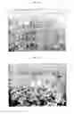 Fig. 08 - Composition and Method