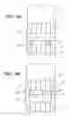 Fig. 05 - PACKED MEMBER AND PRODUCTION METHOD THEREOF